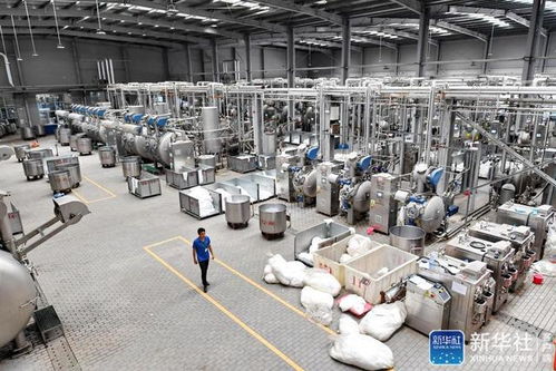 中央媒體看甘肅 定西青年福州工廠脫貧追夢(mèng)記