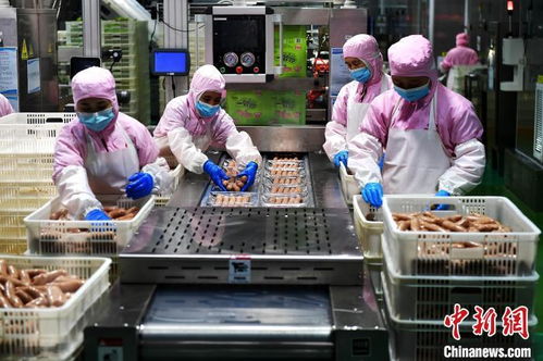 經濟觀察 拼開放 福建深度融入共建 一帶一路