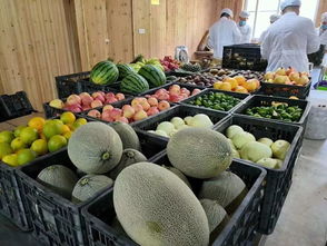 七年成釀 三明首款酵素誕生記